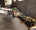 20230506_085027.jpg