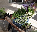 20230506_085035.jpg