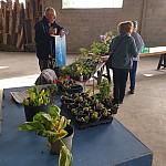 20230506_085046.jpg