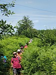 bIOpUGu02fbN-kWN_j5Scm-lop8.jpg