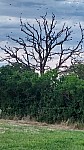20230720_205309.jpg