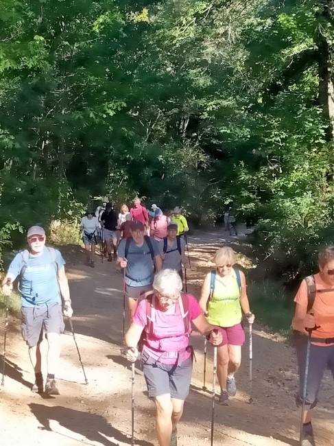 IMG20231002110808.jpg