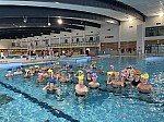 IMG_6311.jpg