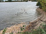 image0000001.JPG