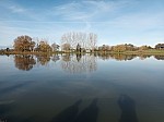 20231129_110715.jpg