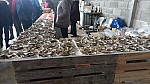 image0000001(1).jpg