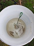 20240118_122341.jpg