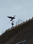 IMG_20240219_141150.jpg