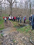 IMG_20240311_145118.jpg