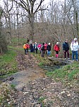 IMG_20240311_145209.jpg