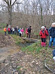 IMG_20240311_145223.jpg
