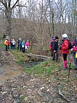 IMG_20240311_145239.jpg