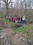 IMG_20240311_145308.jpg