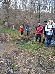 IMG_20240311_145318.jpg