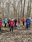 IMG_20240311_153603.jpg