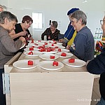 IMG_20240315_140217.jpg