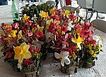 IMG_20240315_182225.jpg