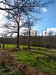 IMG_20240318_153752.jpg