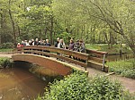 IMG_20240503_142117.jpg