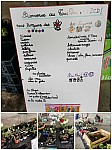 Collage_20240504_152544.jpg