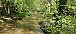 20240506_112614.jpg