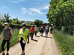 IMG_20240510_135507.jpg