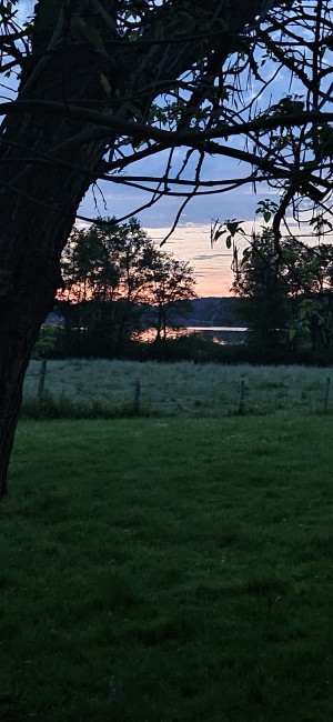 20240513_215210.jpg