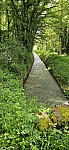 20240515_115352.jpg