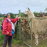 IMG_20240527_095015 - Copie.jpg