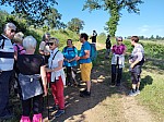 IMG_20240610_094728.jpg