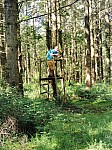 IMG_20240610_102334.jpg