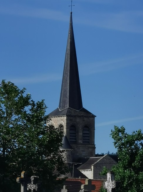 IMG_20240705_084608.jpg