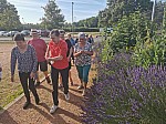 IMG_20240705_084615.jpg