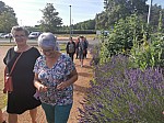 IMG_20240705_084618.jpg