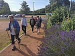 IMG_20240705_084620.jpg