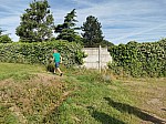 IMG_20240705_092112.jpg