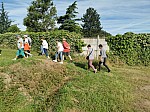 IMG_20240705_092130.jpg