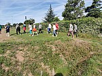 IMG_20240705_092134.jpg