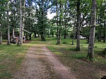 IMG_20240712_090453.jpg