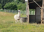 IMG_20240712_090926.jpg
