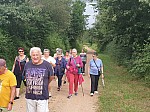 IMG_20240712_093556.jpg