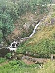 IMG_20240719_085333.jpg