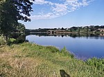 IMG_20240719_090045.jpg