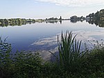 IMG_20240719_090401.jpg
