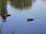 IMG_20240719_091909.jpg