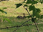IMG_20240719_092746.jpg