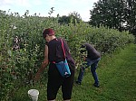 IMG_20240724_094834.jpg