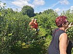 IMG_20240724_103822.jpg