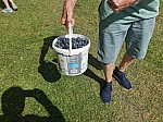 IMG_20240724_111210.jpg