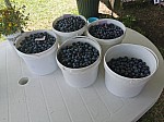 IMG_20240724_111215.jpg